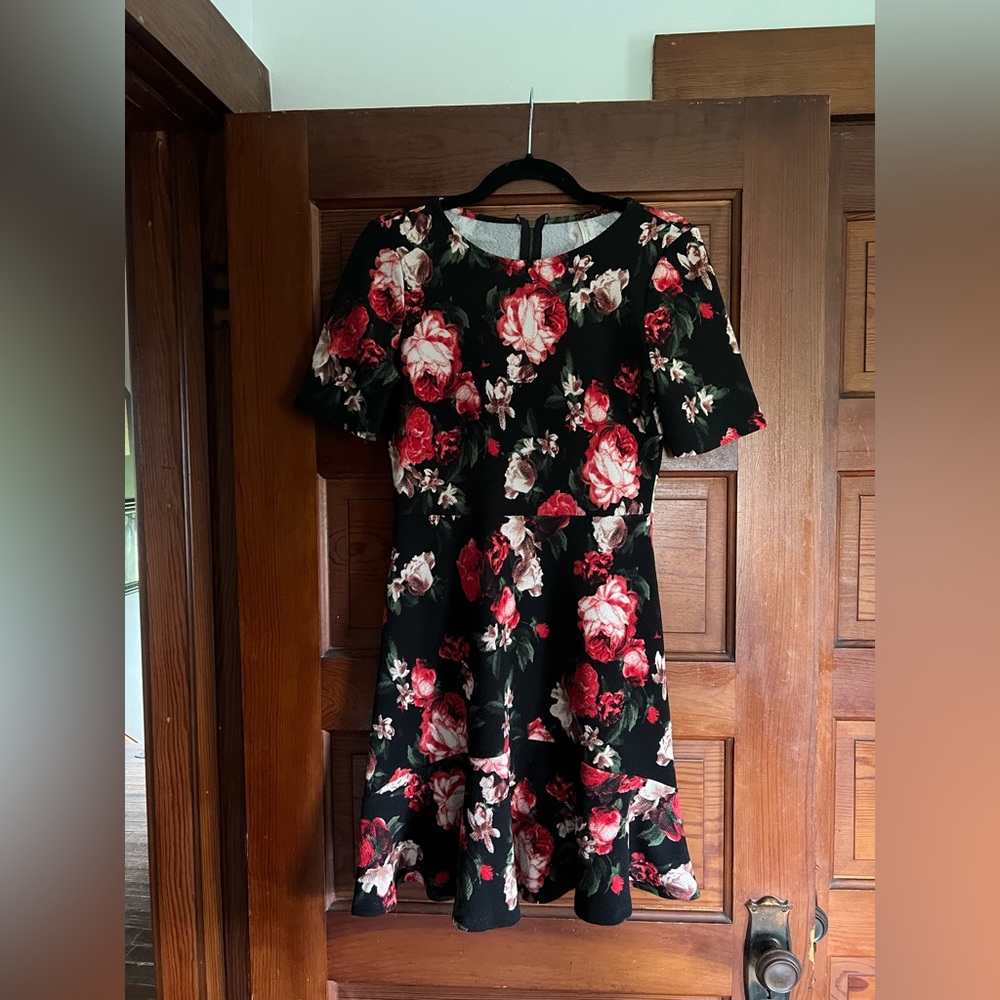 Pink Owl dress size 6 red roses print